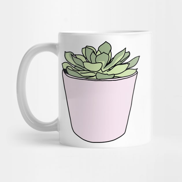 Green succulent in pink flowerpots by bigmoments